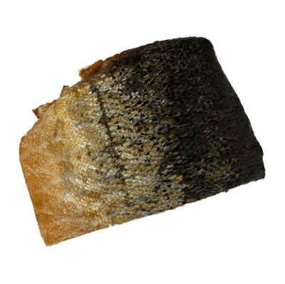 Snack per cani da barca della pelle di salmone di salmone di salmone