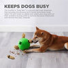 Cane da caccia esterno snuffle n 'treat palla verde