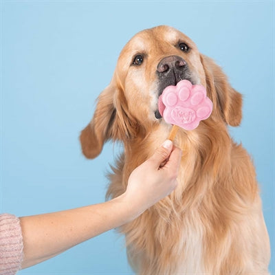 Miscela di gelato per cani Smoofl Smoofl alla fragola