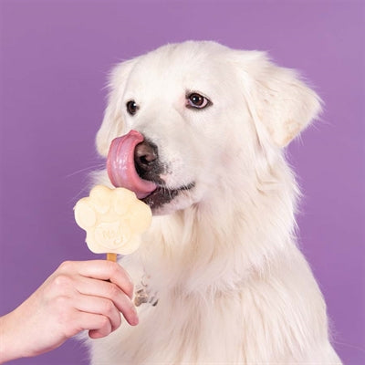 Miscela di gelato per cani Smoofl Smoofl alla banana