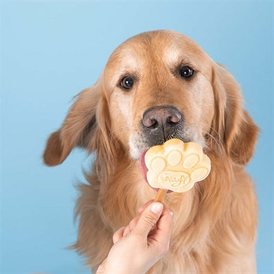 Miscela di gelato per cani Smoofl Smoofl al burro di arachidi