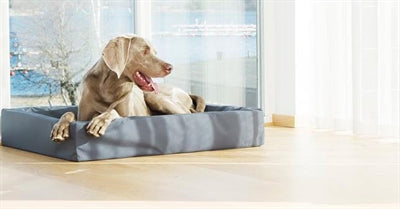 BIA CAMA DE CUERTA ARTIFICAL DE CAMA CASO DE PERRO CASO gris