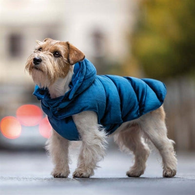 Croci Dog Coat Velveteen Blue