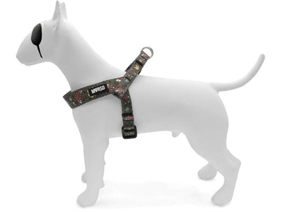 MUSO MINI CANE REGIDICABILE RICYCLED REGICOLO GREEN