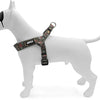 MUSO MINI CANE REGIDICABILE RICYCLED REGICOLO GREEN
