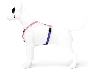 Morso Dog Haren H-Her reciclado dulce tweet rosa
