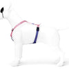 MOSO Dog Haren H-Her riciclato dolce tweet rosa