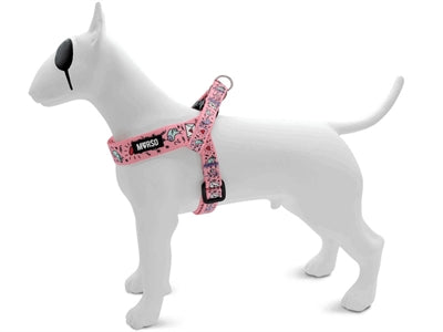 Morso Mini Dog Hard más Hard Ajustablemente Tweet dulce Rosa Pink