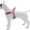 Morso Mini Dog Hard más Hard Ajustablemente Tweet dulce Rosa Pink