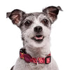 Morso collar perro reciclado rosa piensa rosa