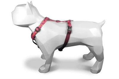 MOSO Dog Haren H-hem riciclato rosa pensa rosa
