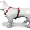 Morso Dog Haren H-Hem Reciclado Pink Piense Pink