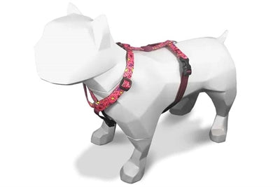 Morso Dog Haren H-Hem Reciclado Pink Piense Pink