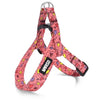 Morso Mini Dog Hard más Hard Ajustable Pink Pink Pink Pink