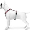Morso Dog Haren H-Her Skyline Red Pink
