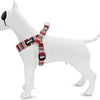 Morso Mini perro Harder Hard Ajustiblemente Red Red Rosa