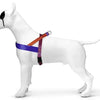 Aculatore di cani norvegese Moro Red Urban Lizard Red