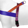 Aculatore di cani norvegese Moro Red Urban Lizard Red