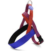 Aculatore di cani norvegese Moro Red Urban Lizard Red