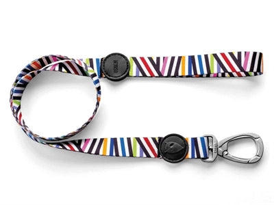 Morso Dog Leashed Spaghetti Incidente de Spaghetti