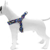 MUSO MINI CANE RICYLED REGICOLO RICHIUDI INVADERS PERUPLE