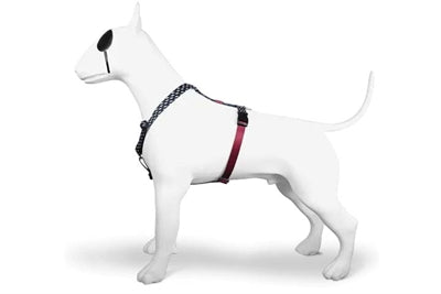 MOSO Dog Haren H-Her Flusso di potenza riciclato Nero