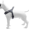 Morso mini perro más duro Flujo de potencia reciclado ajustable Negro