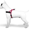 Morso Noruega Dog Harder Bubble reciclado Leo Pink