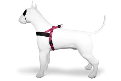 Morso Noruega Dog Harder Bubble reciclado Leo Pink