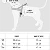 Morso Noruega Dog Harder Bubble reciclado Leo Pink