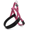 Morso Noruega Dog Harder Bubble reciclado Leo Pink