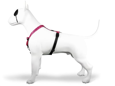 Morso Dog Harness H-Hem Bubble reciclado Leo Pink