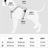 MORSE CARCHIO DOGE H-HE COMPLEGGIO RICHILED LEO PINK