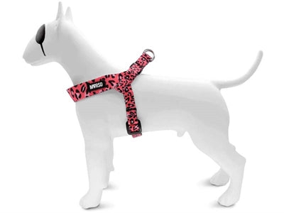 Morso Mini Dog más duro Burbuja reciclada ajustable Leo Pink