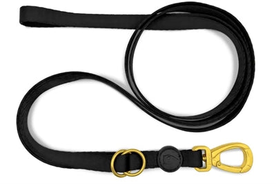 Morso Dog Cinturón de oro Caviar de oro reciclado ajustable