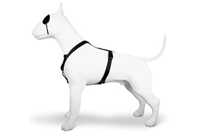 MOSO Dog Haren H-Her Gold riciclato oro