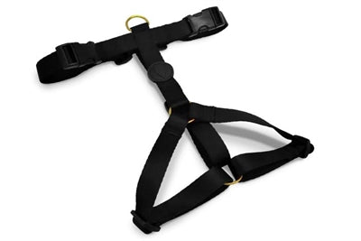 MOSO Dog Haren H-Her Gold riciclato oro