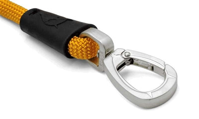 MORSE Dog Leash Oro riciclato con corda riciclata