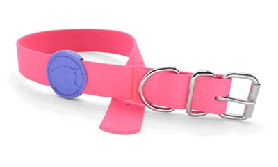 Morso Collar Dog impermeable Pasión rosa rosa rosa