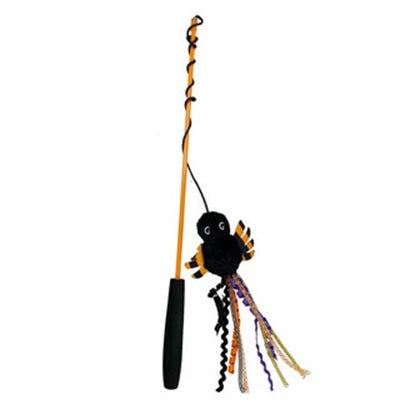 Happy Pet Cat Cat Hengel Spider