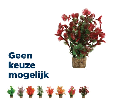 Zolux Ornament pastic plant op stenen puntig assorti