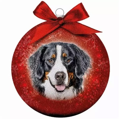 Molti regali di Natale glassata Sennen Red