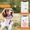 Weenect Weenect Tracker Dog White