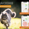 Weenect Weenect tracker kat zwart