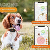 Weenect Weenect Tracker Dog Black