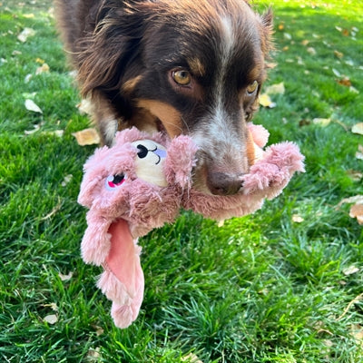 Kong Scrumplez Bunny Plush With Beep Pink