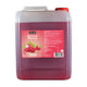 Sun d'or fruit limonata sciroppo lampone (5 litri)