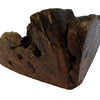 Cane woodzzz masticare radice con olio d'oliva