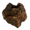 Dog Woodzzz Raíz de masticación con aceite de oliva