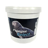 Hareco Parrot Seleccione con pellets